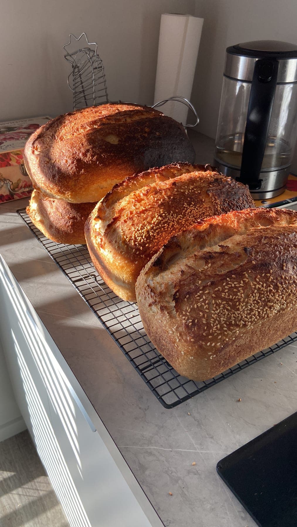 Freshly baked CASA sourdough loaves cooling in the kitchen